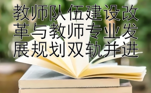 教师队伍建设改革与教师专业发展规划双轨并进